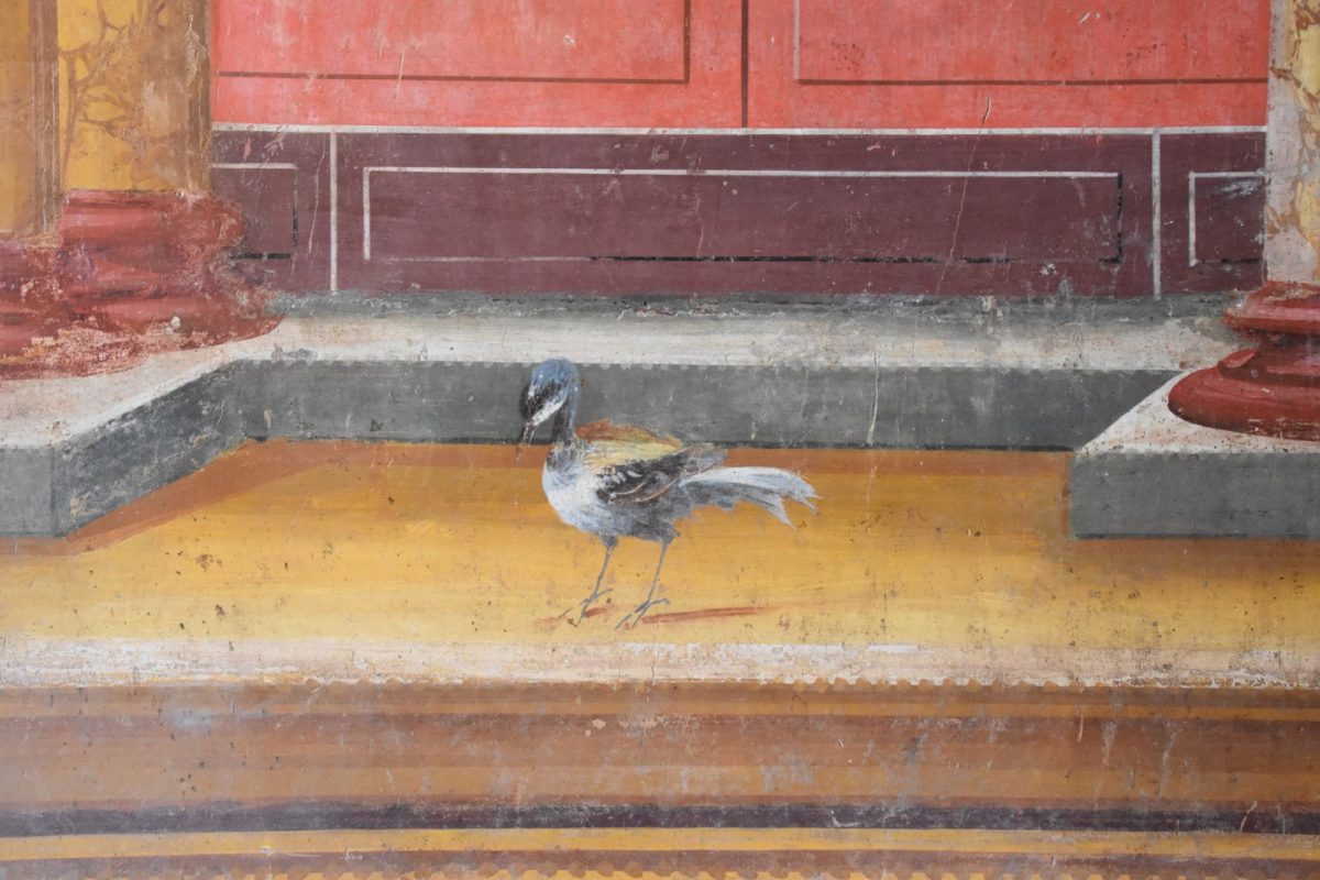 pompeii_sites's tweet photo. Villa di Poppea, scavi di #Oplontis. https://t.co/PX9nqmD9jN