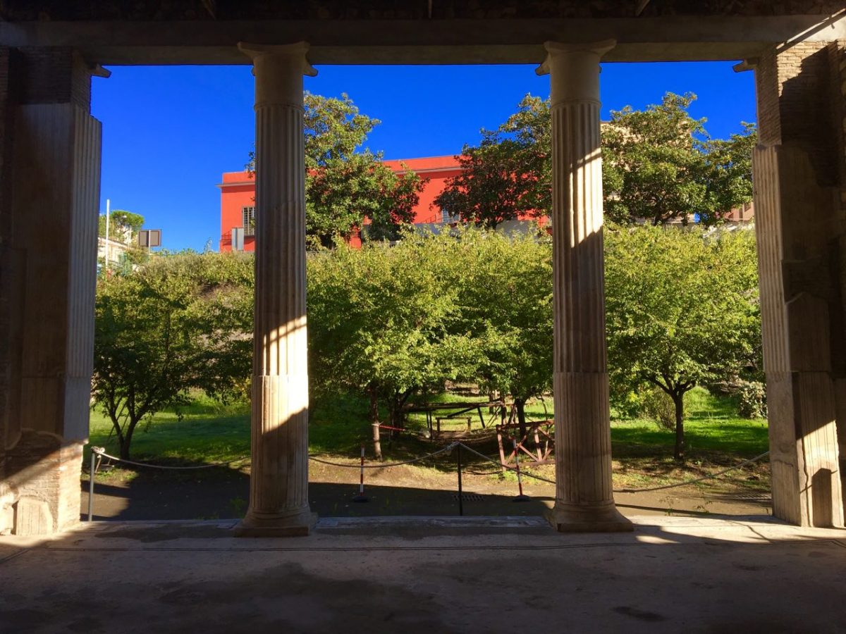 pompeii_sites's tweet photo. Villa di Poppea, scavi di #Oplontis. https://t.co/PX9nqmD9jN