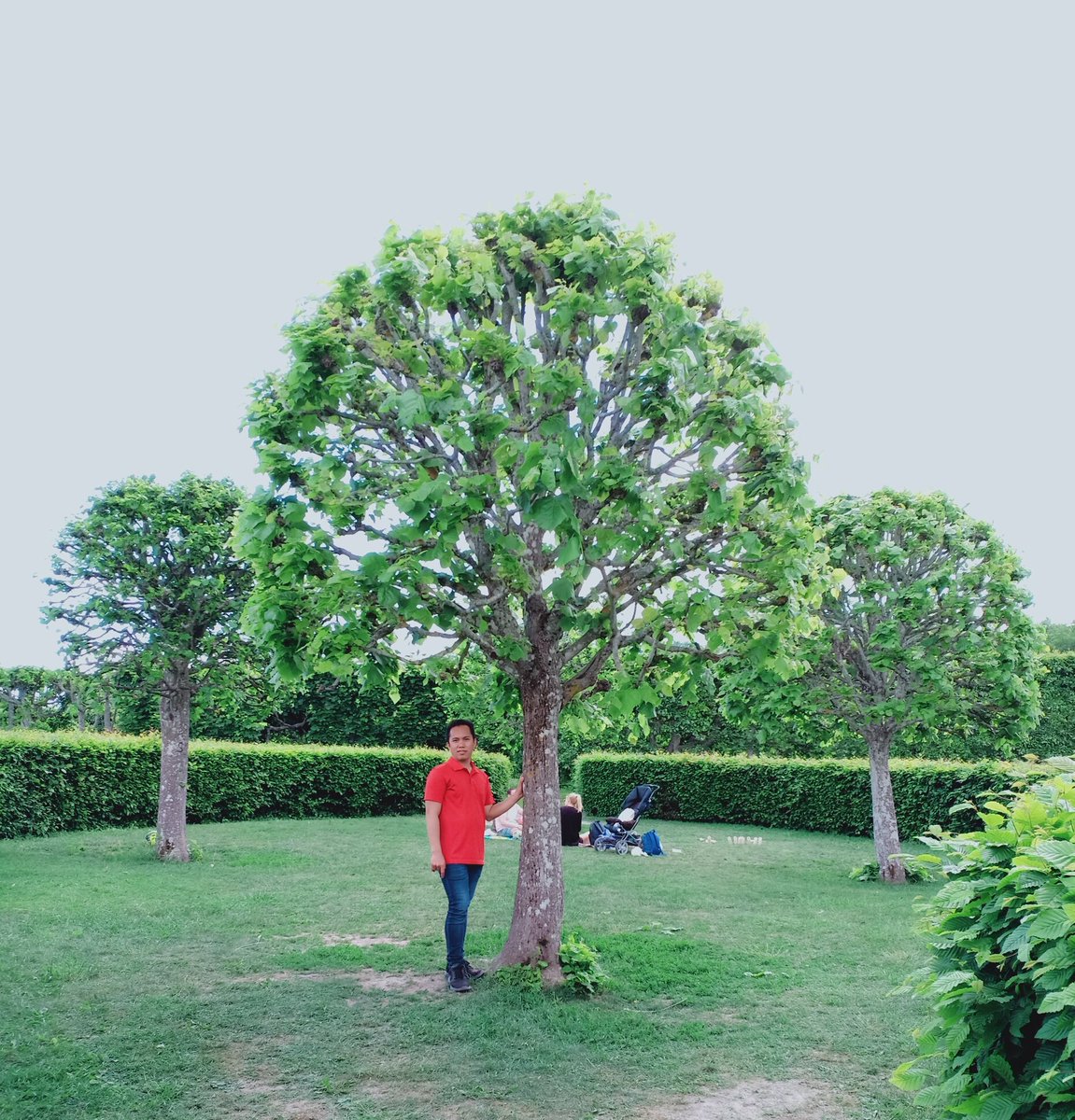 junastweeter's tweet image. 