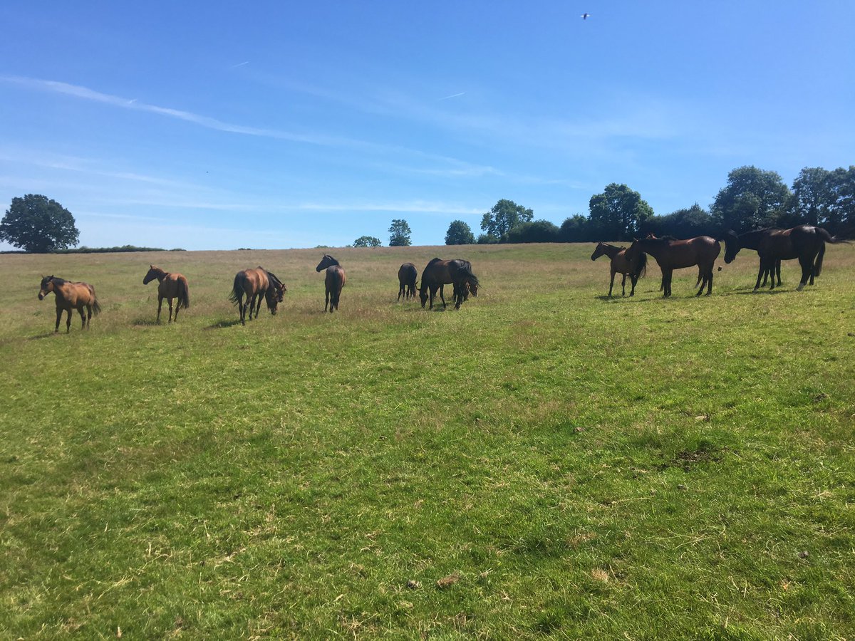 Enjoy it while you can boys, the hard work starts soon !!