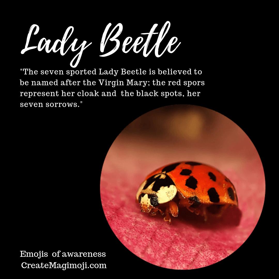 The Lady Beetle, an emoji of #nature from Magimoji. The lady beetle brings many meanings and beauty to the summer buzz. #emojisoftheworld #innerbeauty #beetles #insects #totem #meaning #summerbeauty