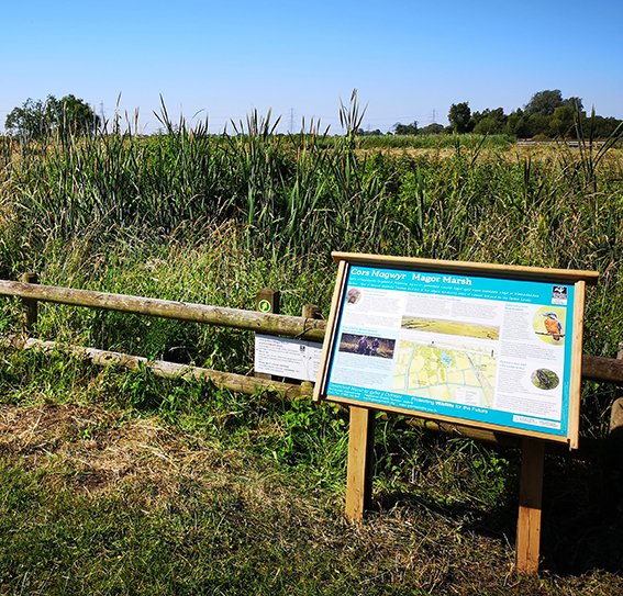 Thanks to Gwent Wildlife Trust for this photo with one of my panels which has gone into #MagorMarsh with a frame by The Acorn Workshop and print by NovaDura 
#gwent #interpretationpanel #wildlifesigns #wales #theacornworkshop #www.interpretation-panels.co.uk