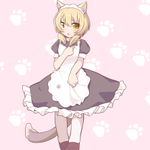 2019/07/04