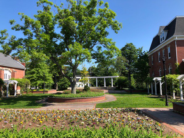 StFX University Housing tweet media