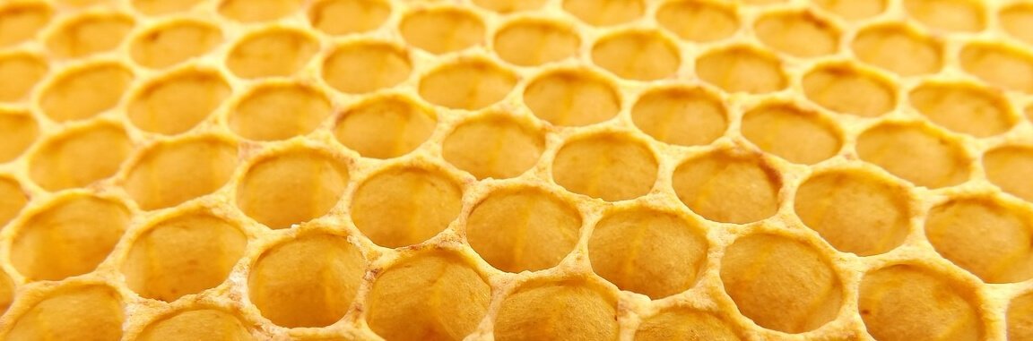 The Pentland Centre for Sustainability in Business tweet media