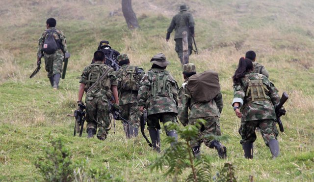 NTV_Canal's tweet photo. Isnos Iquira y Algeciras están en la mira del ejército y la policía ante las denuncias de que grupos residuales de las Farc estarían llegando a la zona y extorsionando a campesinos, ganaderos y caficultores,  #NtvNoticias
https://t.co/9qeGc0cmOV https://t.co/NMDLvPzoJy
