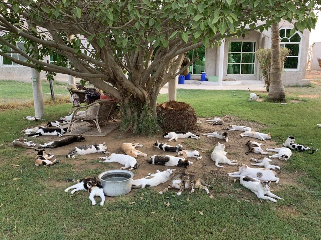 今年の夏も避暑地はかわいこちゃん達で大混雑しておりますww