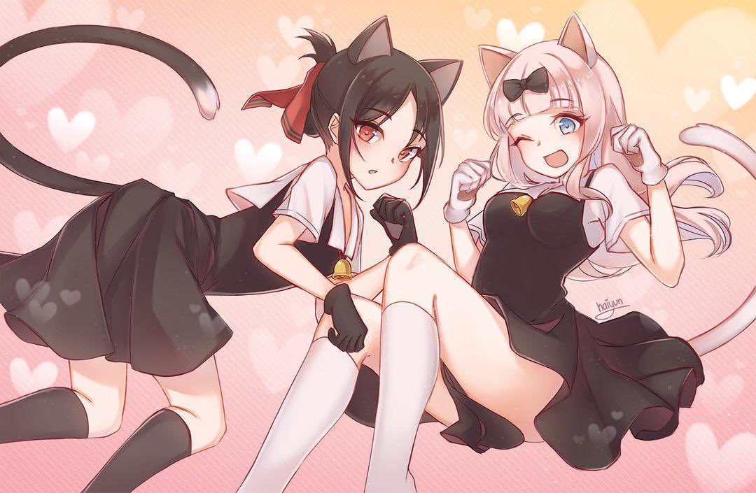 Love is War, neko style nyaah! pic.twitter.com/o3UKIiyJF6. 