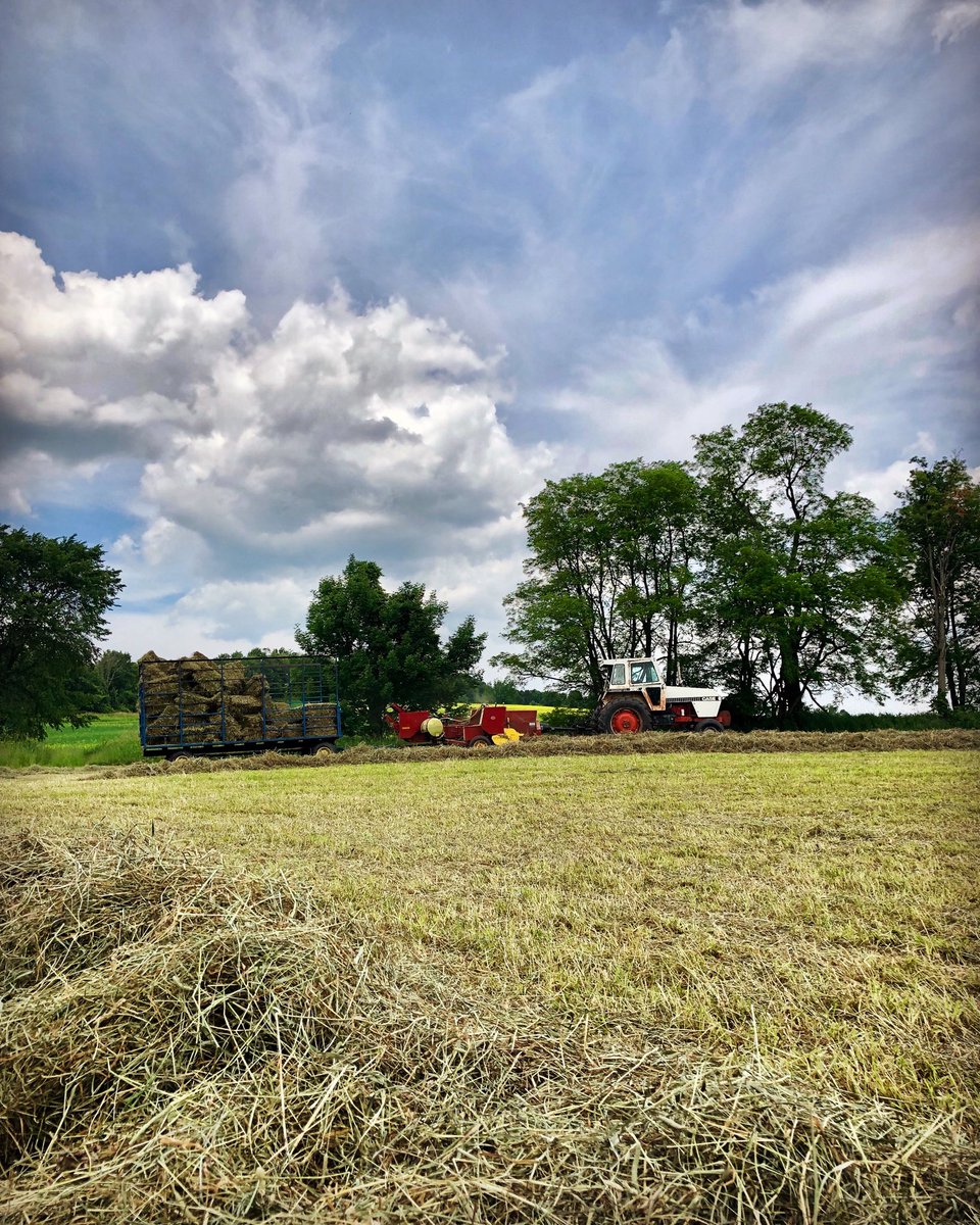 🇺🇸 Our red, white, and blue view for the day!  Happy 4th of July! 🇺🇸

#independenceday #farmlife #hayseason #hydercreekfarm