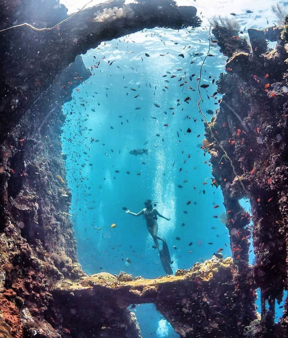 dully718's tweet image. Another beauty 😍😍😍😍 #ASOT921