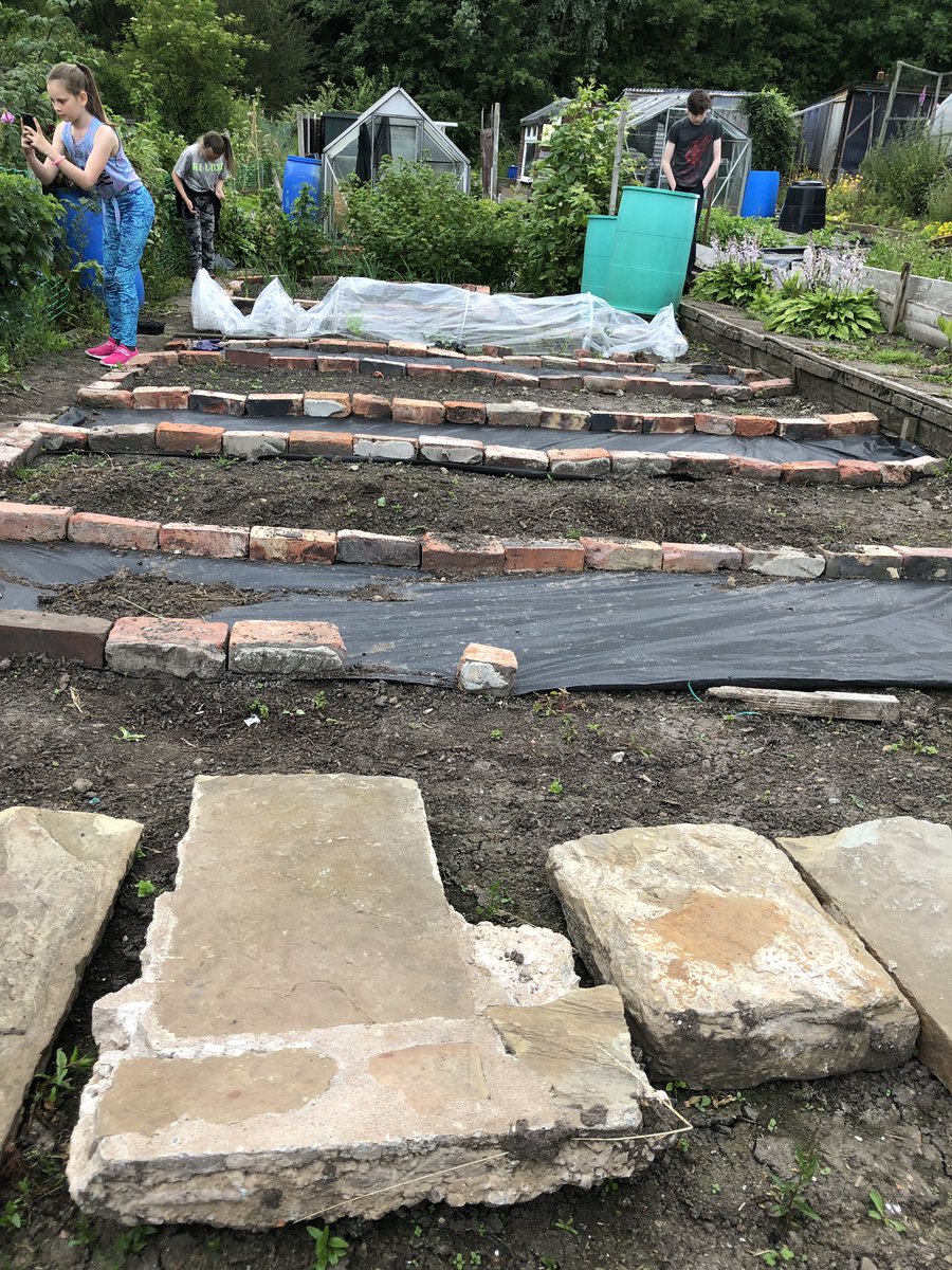 debrabretherton tweet media