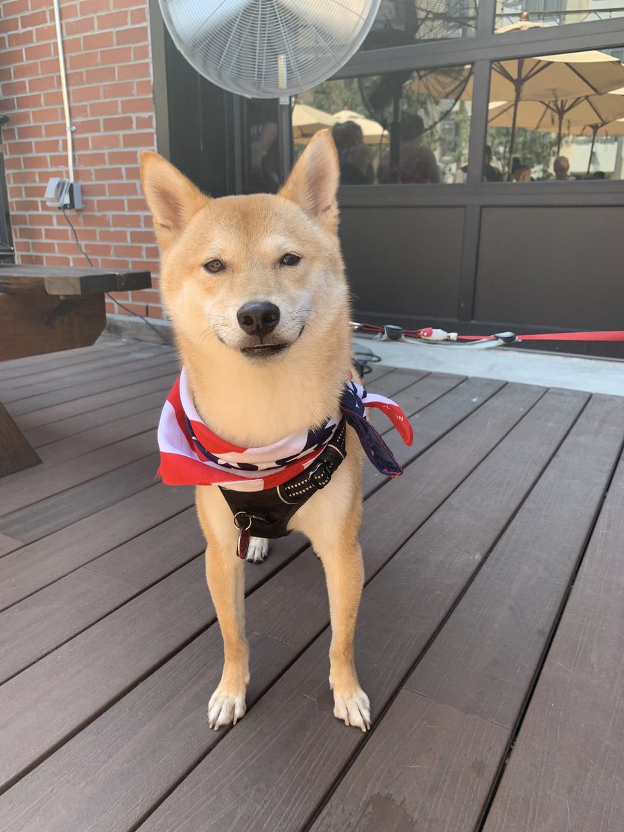 AltSides's tweet image. Happy 4th! Glad to be free! Also our dog says hi!