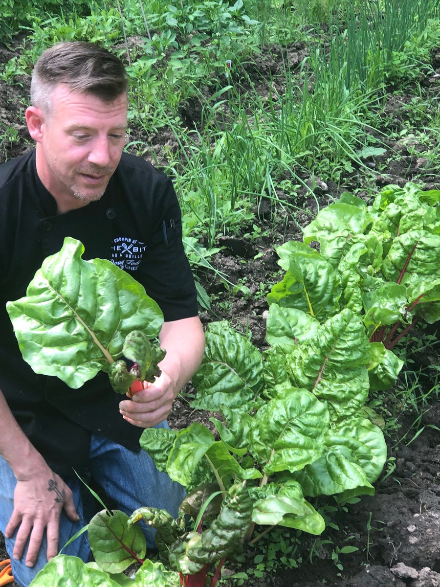 Fresh vegetables from The Bit garden going straight to Chompin at The Bit Bar and Grille