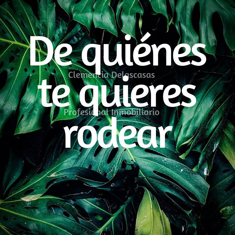 DelascasasCleme's tweet photo. Es importante saber escoger amigos, socios, compañeros, si quieres ser... Exitoso rodeate de gente... Exitosa
#ClemenciaDelascasas
#ProfesionalInmobiliario
#ventas #arriendos #inversiones
#resilencia #actitud
#aptitud #constancia #soyexitosa
#soypositiva #soyfeliz #soyagradecida https://t.co/VxFF8ZYBwI