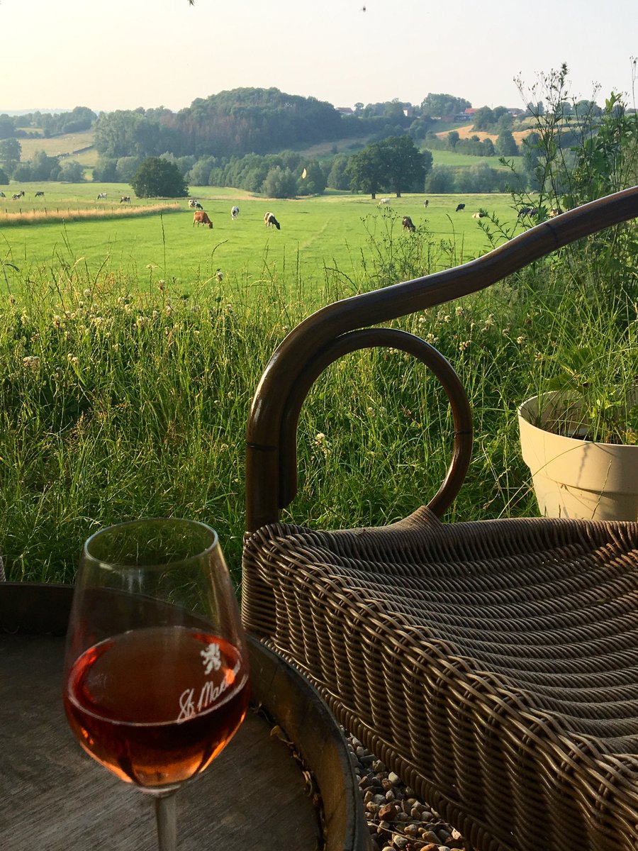 WiettD's tweet photo. Terugblik zomerborrel 26 juni 2019 Departement Zuid-Limburg van De Maatschappij wijngaard St. Martinus in Vijlen. Prachtig gebied en heerlijke wijn. Stan Beurskens is een vakman en zeer gedreven ondernemer- https://t.co/8JTe1KlNIf https://t.co/cM1dDCY5pq