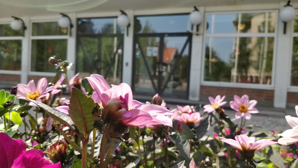 Vannaskommun's tweet photo. På grund av att vi har många andra kommunala informationskanaler som är mer aktiva så kommer detta konto att finnas kvar, men inte längre vara aktivt. Följ oss gärna på Facebook: https://t.co/5A00vTdvun https://t.co/8VXzoqJuhi