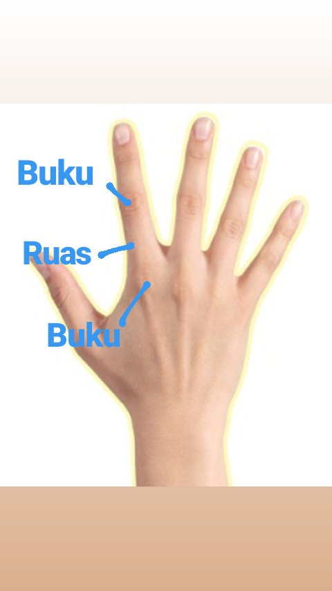 buku