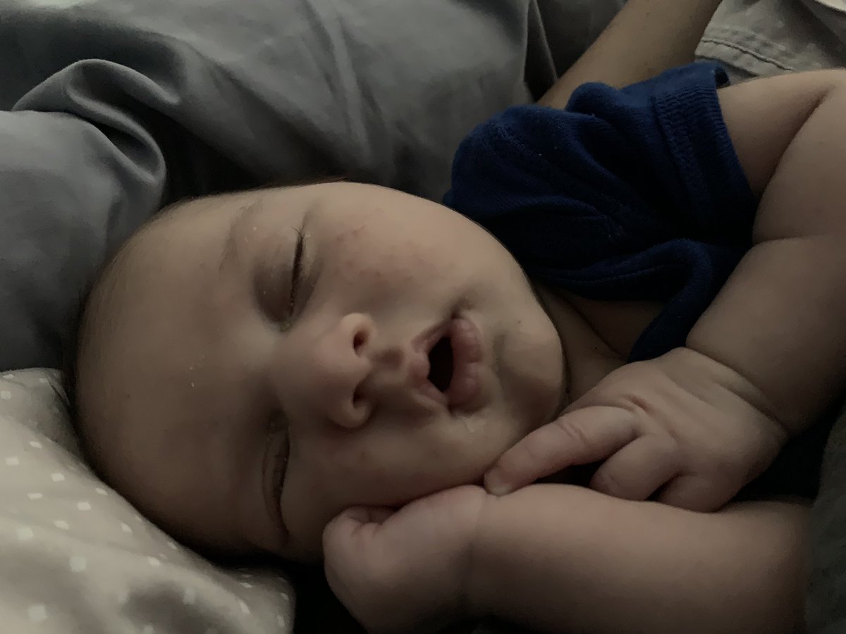 AbbyJohnson's tweet image. I have so much work to do, but I think I’ll just stare at this face for a while. #workcanwait #fulton