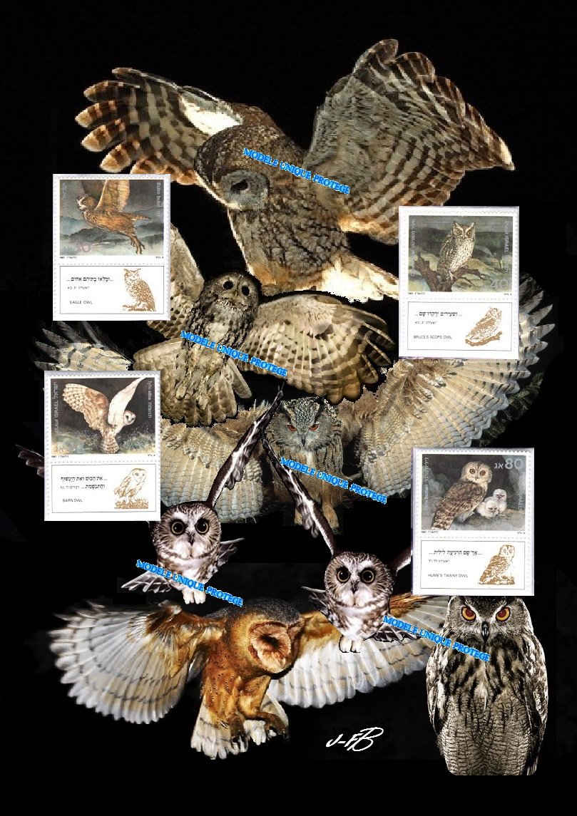 barbierjeanf's tweet photo. Rapaces Nocturnes Oiseaux Bibliques, chouettes et hiboux, Israël 1987
https://t.co/dmE1nffted
#oeuvreoriginale #artpostal #modeleunique #artnumerique #artmixte #montagephoto #impressiondigitale #oiseauxrapaces #oiseauxbibliques #vintage #timbresposte #philatélie #oiseauxnocturnes https://t.co/0ieukVq8jx