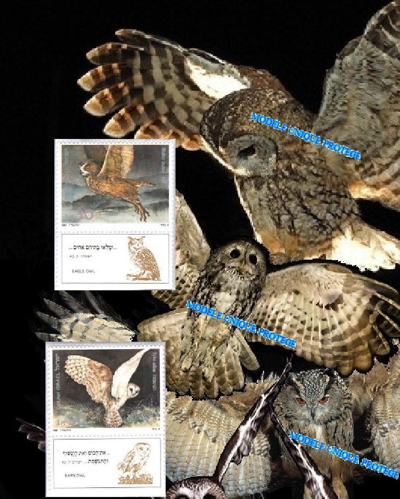 barbierjeanf's tweet photo. Rapaces Nocturnes Oiseaux Bibliques, chouettes et hiboux, Israël 1987
https://t.co/dmE1nffted
#oeuvreoriginale #artpostal #modeleunique #artnumerique #artmixte #montagephoto #impressiondigitale #oiseauxrapaces #oiseauxbibliques #vintage #timbresposte #philatélie #oiseauxnocturnes https://t.co/0ieukVq8jx