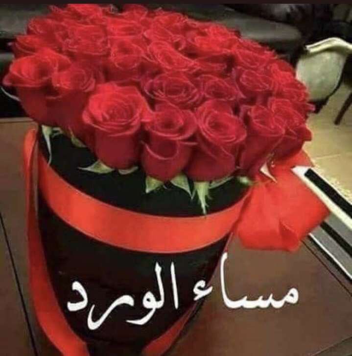 مساء 🌹🌷