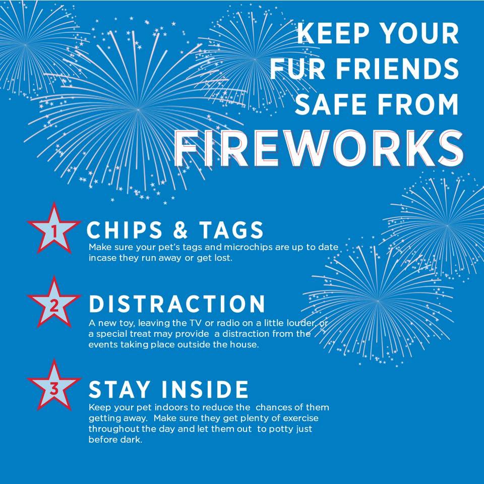 JDoddsRealtor's tweet photo. Happy 4th of July 🇺🇸 Wishing all a happy and safe holiday. AND don’t forget to keep an eye on your furry family members? https://t.co/CnekKTRd2N