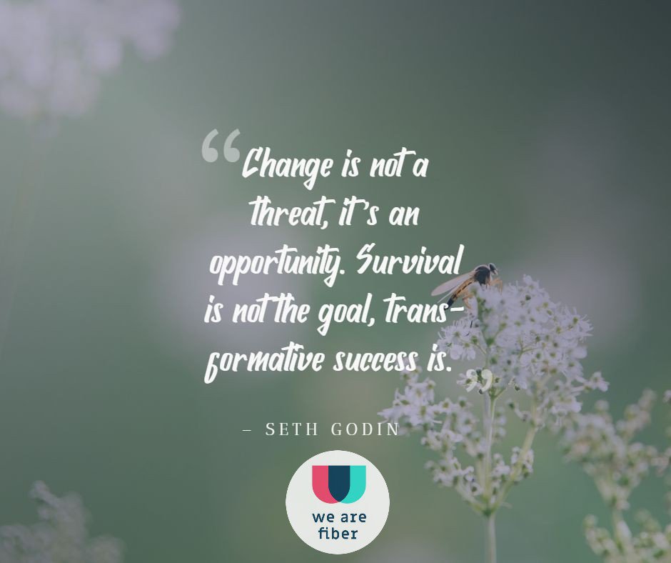 We Are Fiber tweet media