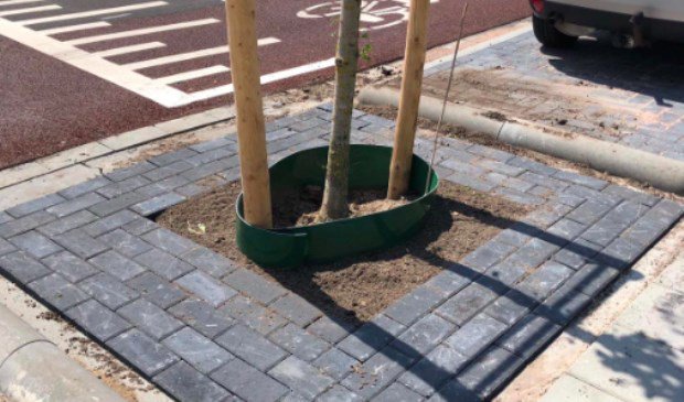 Gemeente overstag: 'bewoners kunnen grond adopteren' AMERSFOORT De gemeente gaat de bestrating rond boomspiegels bij de Everard Meijsterweg, Daltonstraat en Woestijgerweg weer verwijderen. Dit besluit is genomen na feedback van... twib.in/l/eEaALydpL596