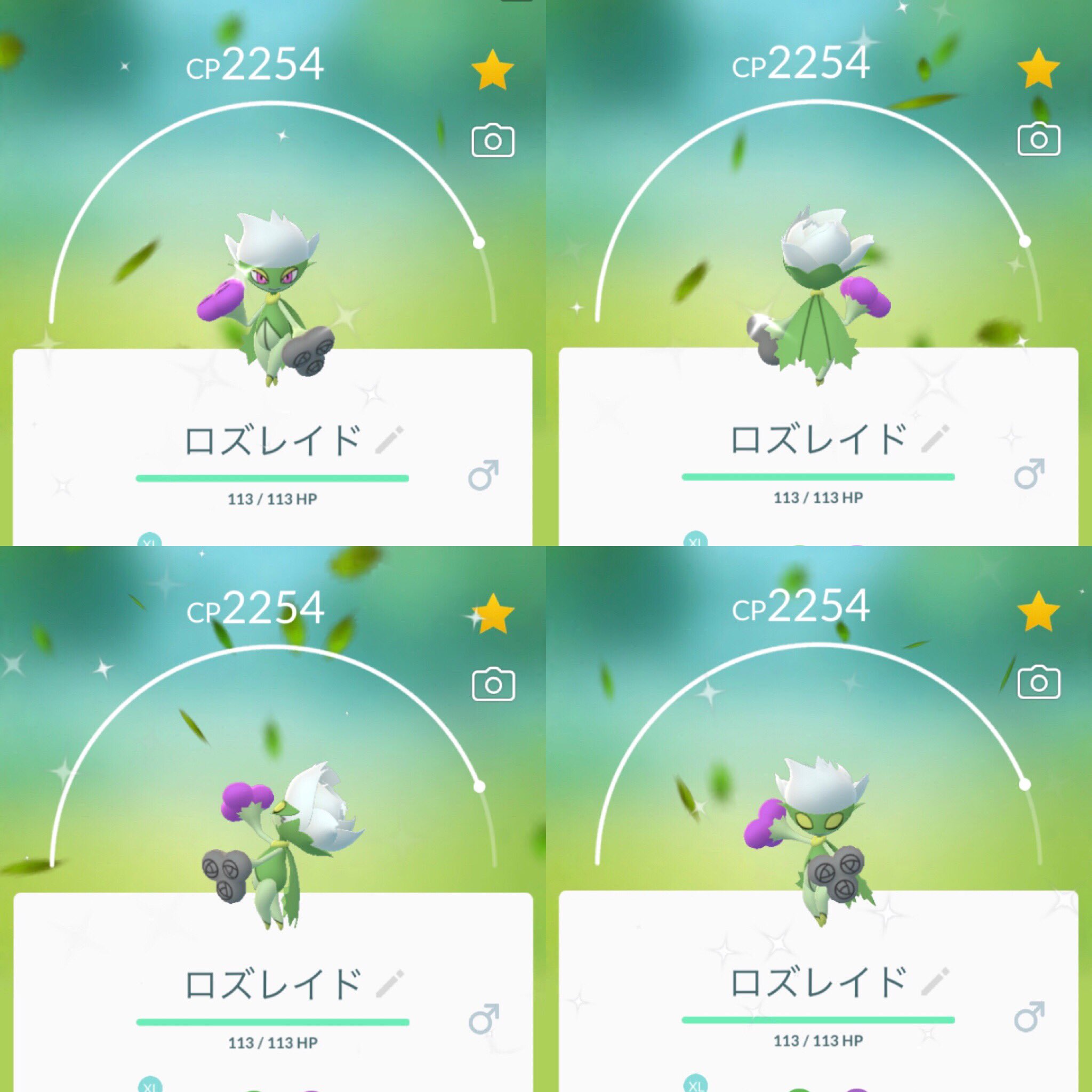 Tomo Chan またまた 色違いロゼリア に 遭遇 色違いロズレイド に 進化 ポケモンgo 色違い ロゼリア スボミー ロズレイド T Co 0e9mhxkqwz Twitter