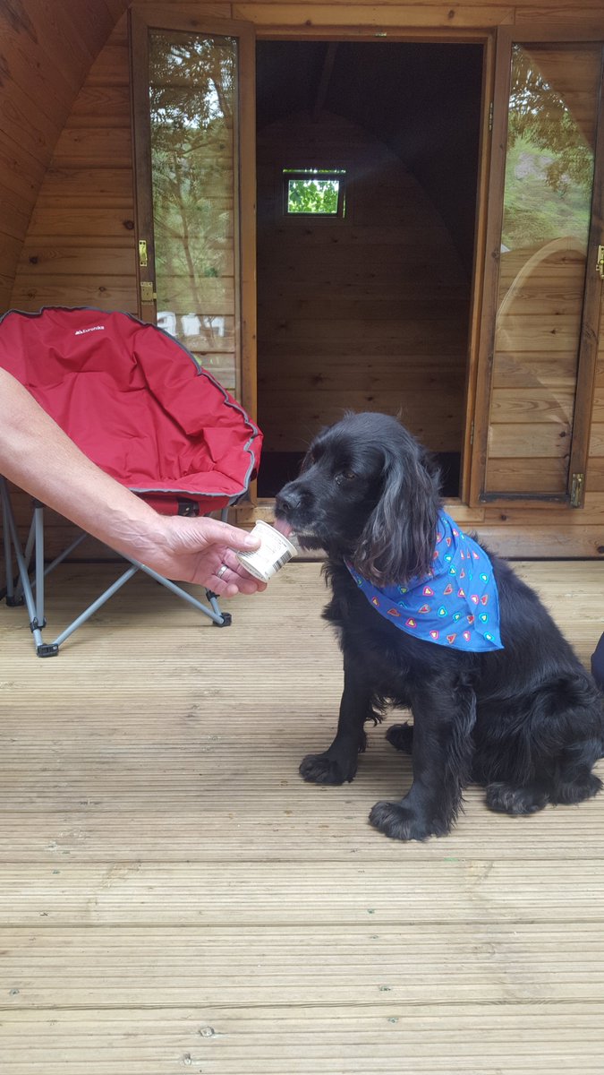 eskdale1's tweet photo. Our doggy ice creams are going down a treat at sunny Eskdale campsite https://t.co/5oVnvAE5a6
