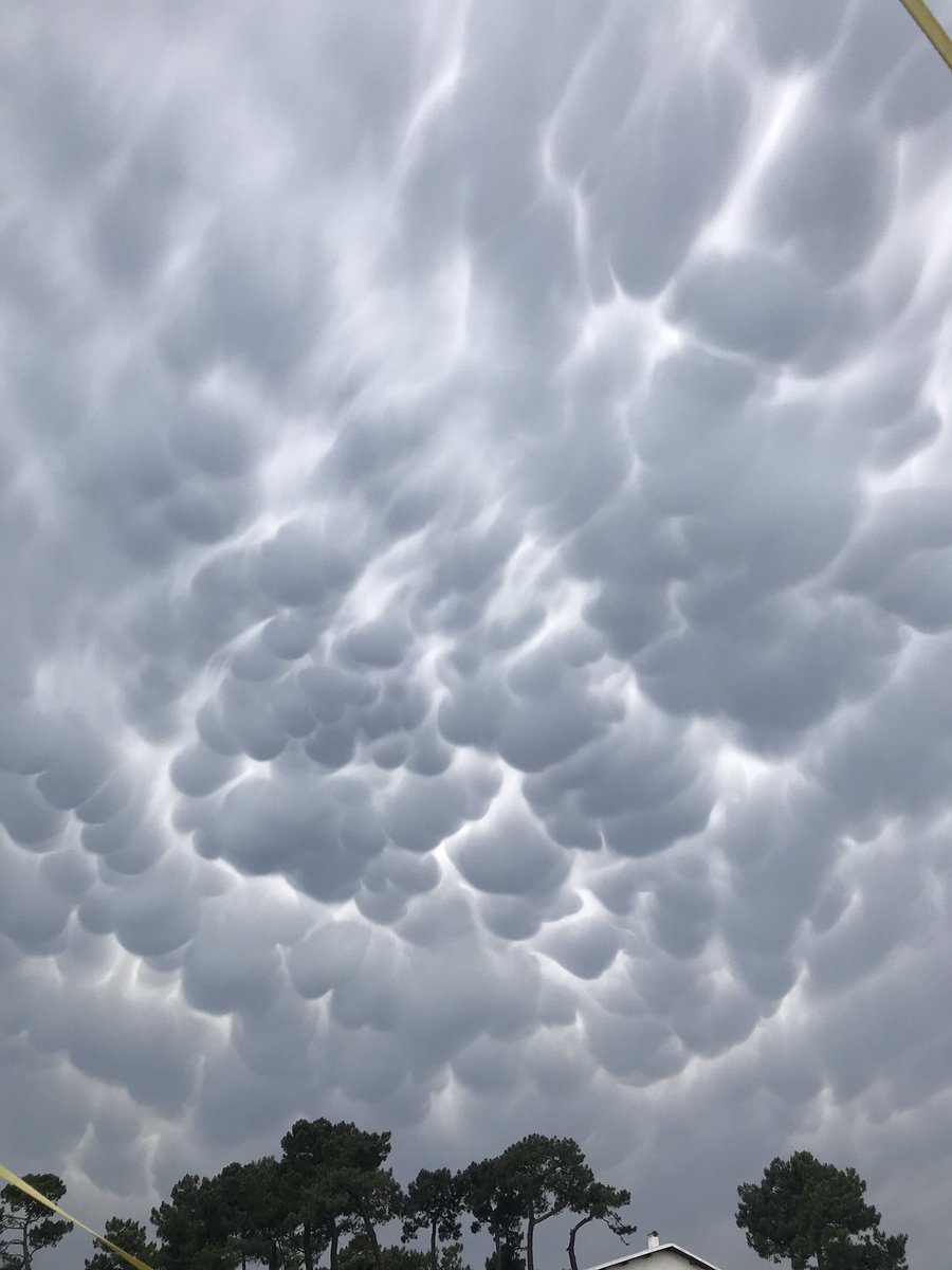 DTothill's tweet photo. @bbcweather can you tell me what this cloud formation is - it preceded a huge storm last year near Bordeaux and friends saw something very similar last night in Provence. I have never seen it in UK. https://t.co/m8K97eOuuK