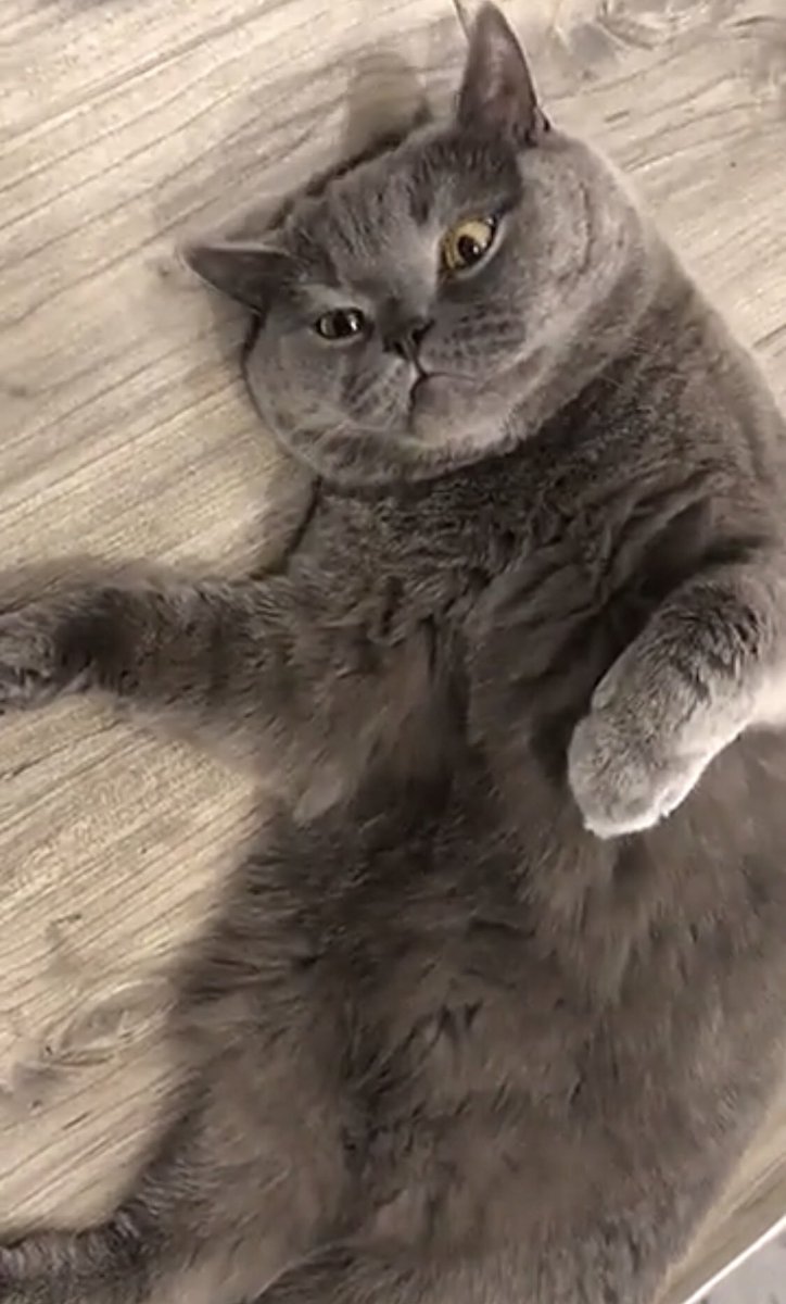 يا حبيبت قلبي للحين مالقيت مثلك ومارح ألاقي 💔💔💔