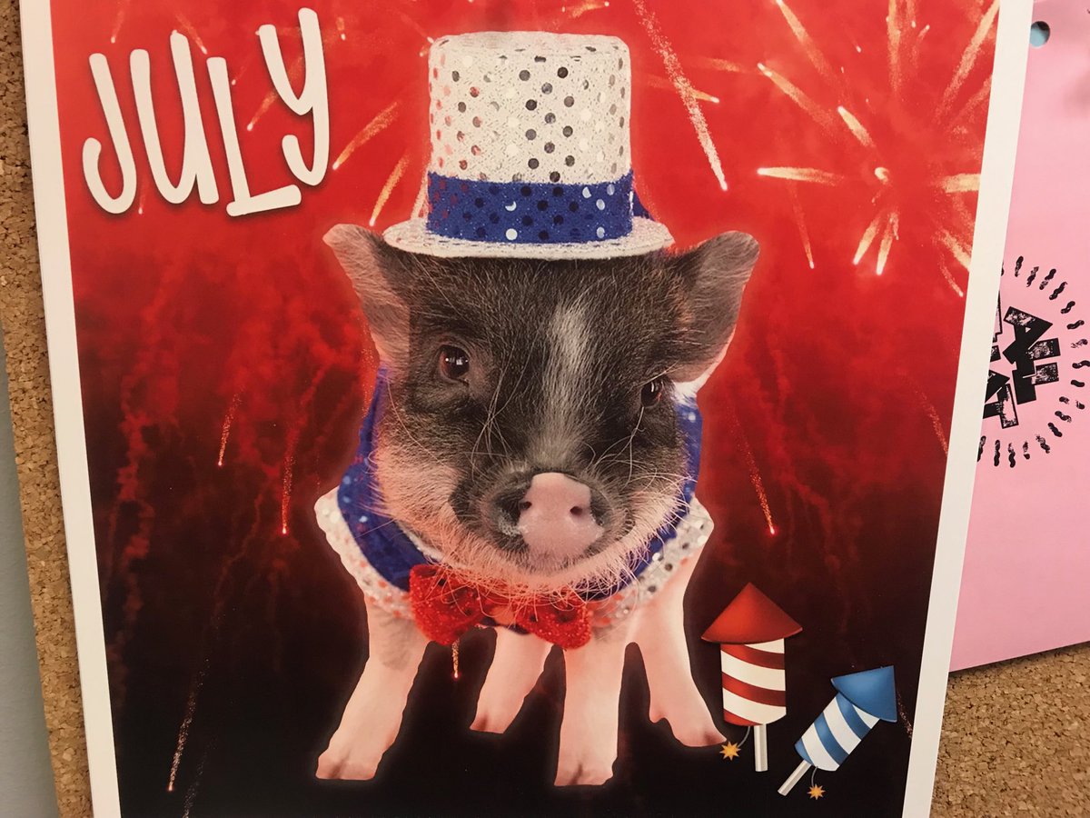 Happy 4th of July everyone!