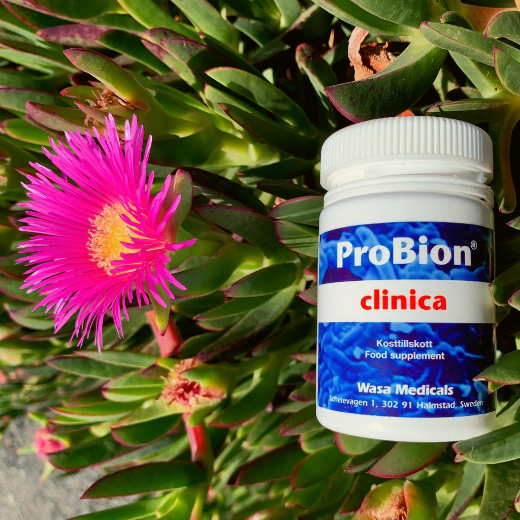 ProBion's tweet photo. Gut microbiota imbalance, root cause of disease, could be handled through proper probiotic supplementation and / or other natural remedies.

#probion #probiotics #guthealth #immunesystem #immunology #immunityboost #immuniytbooster #immunity #naturalimmunesupport #sistema https://t.co/jbMz0Ia040