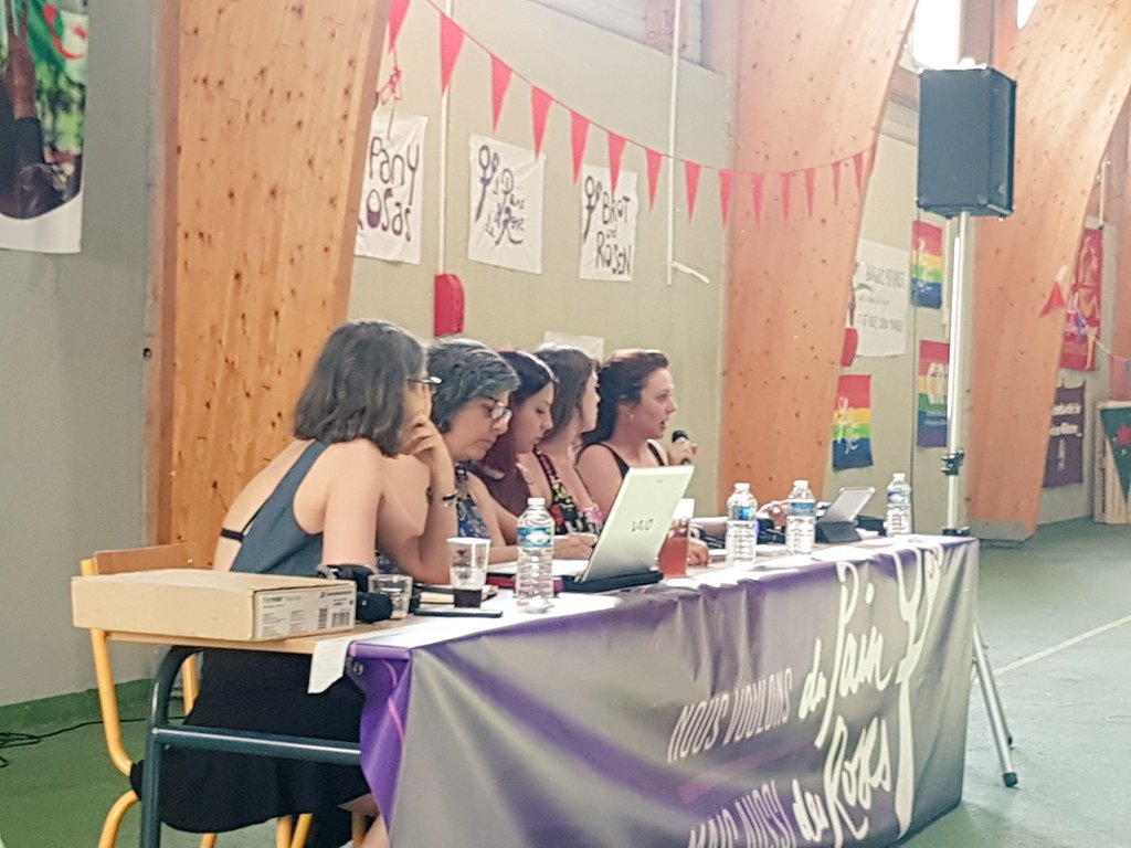 iDiarioES's tweet photo. #EscuelaInternacionalista | Plenario "Nueva ola feminista". #Ahora @lierolaliero de @PanyRosasEE "Desde el principio peleamos por una corriente anticapitalista, de clase y antiimperialista, al lado de la trabajadoras, la juventud y las inmigrantes". https://t.co/bKD3CKeISn