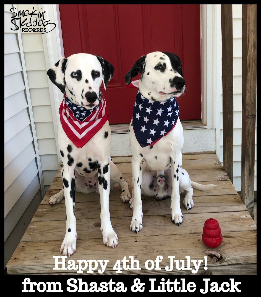 SmokinSleddog's tweet photo. Happy July 4th from the Doghouse! Give neighbors &amp; pets a break from the explosives, folks!  #kong #dogsoftwitter #independenceday #fireworks #starsandstripes #dalmatian #thedogsofsmokinsleddogrecords #woof https://t.co/qHcl2Z4DFt