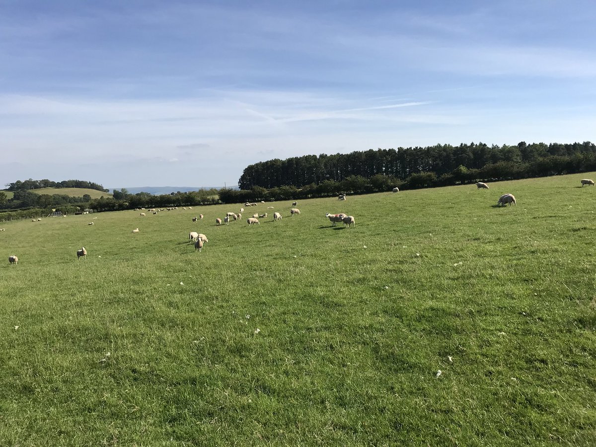 Home from a very inspiring day at the NFU #shewhodaresfarms conference. Some fantastic role models and some fantastic #womeninagriculture to look up to. #WeAreWelshFarming #proudtofarm