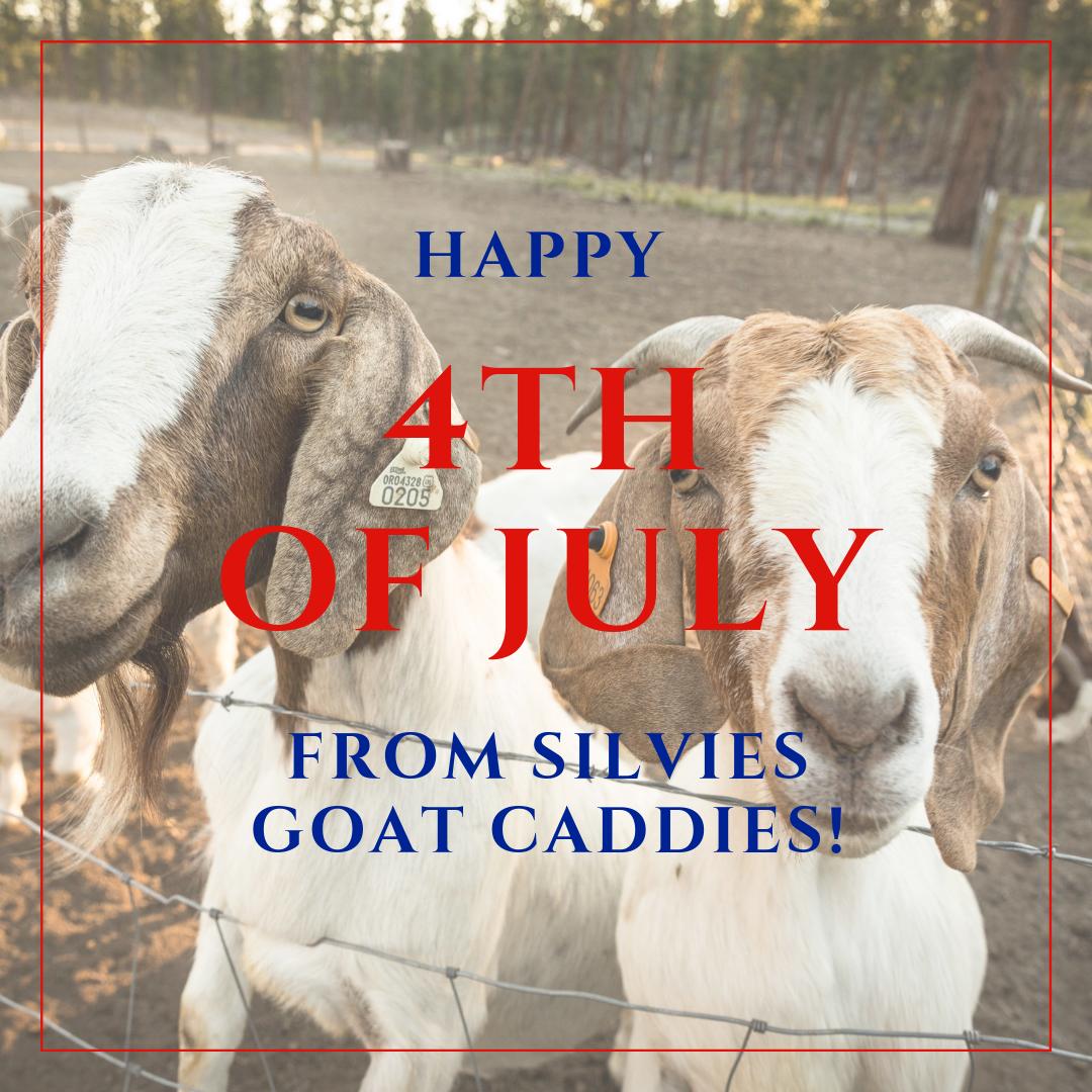 GoatCaddies's tweet photo. Wishing you a sparkling 🎇 4th of July from the Silvies Goat Caddies. https://t.co/lHfYsS9aUv