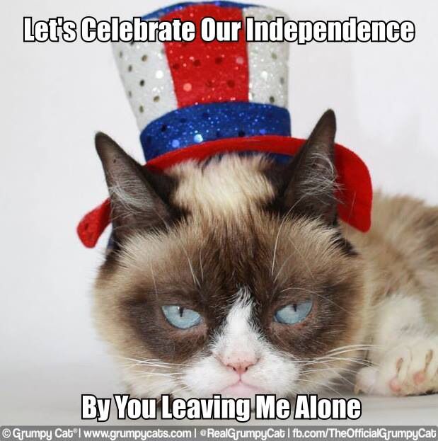 Greg_A_'s tweet photo. @ConanOBrien #FourthOfJuly #GrumpyForever https://t.co/KZdiEQiMLf
