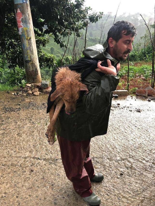 Dünden beri bu hemşerimi düşünüyorum.
Rize-İyidere’de 300 metre uçuruma yuvarlanıp ayağı kırılan köpeği, sırtına yükleyip uçururumdan çıkararak hayata katmış.
Senin alnından öpüyorum kardeşim benim