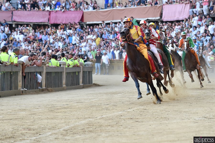 Agipress's tweet photo. Le più belle immagini del Palio del 2 Luglio di Siena, i momenti più emozionanti che hanno portato alla vittoria della #Giraffa.
Foto di Tiziano Pucci per #Agipress
Tutta la galleria: https://t.co/yQmp0pA4I6 @paliodisiena #palio https://t.co/Dl6i3JLGlK