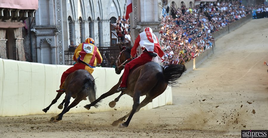 Agipress's tweet photo. Le più belle immagini del Palio del 2 Luglio di Siena, i momenti più emozionanti che hanno portato alla vittoria della #Giraffa.
Foto di Tiziano Pucci per #Agipress
Tutta la galleria: https://t.co/yQmp0pA4I6 @paliodisiena #palio https://t.co/Dl6i3JLGlK