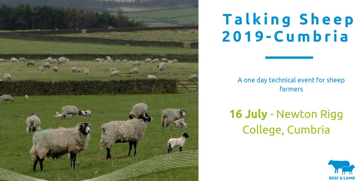 AHDB_BeefLamb's tweet photo. Join us for Talking Sheep 2019 in Cumbria on Tuesday 16 July @NewtonRigg - it's a great opportunity to learn more about a range of #sheep topics and network with like-minded producers #sheep365 https://t.co/amRpD0poSg https://t.co/1iLNJGd0xK