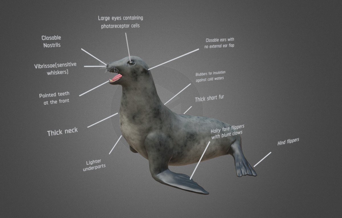 VISARTECH's tweet image. Cast a glance at those stunning 3D models!

We&apos;ve just finished them for one of our big educational projects. VisartechTeam is unbelievably happy to contribute to the Next Generation Science.

#VisartechPortfolio #3Dscience #3Deducation