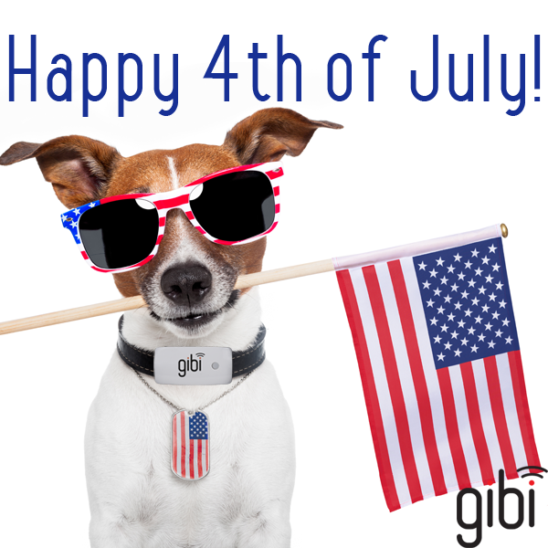 Happy 4th of July! 🇺🇸