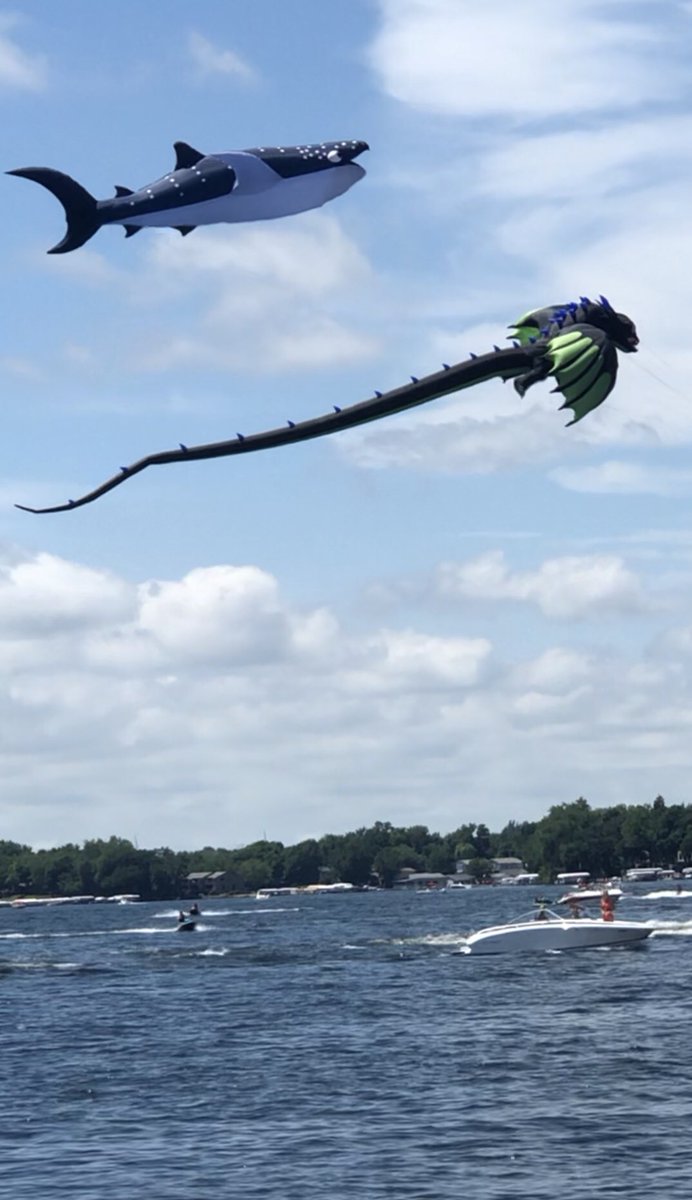 Things are getting real on West Lake! It appears that a whale shark is attacking a dragon and it’s only noon. 🇺🇸
