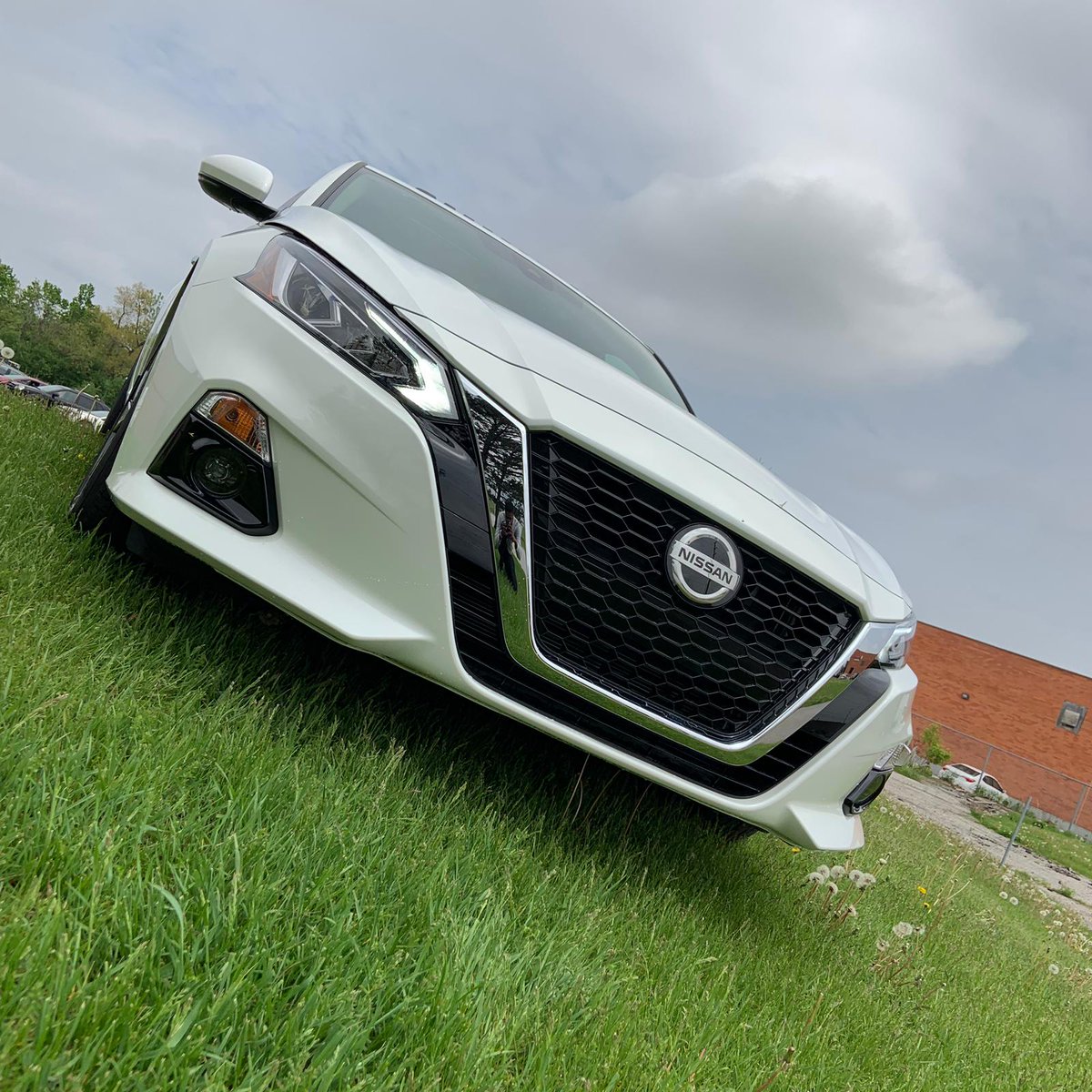 Staring right into your soul. #NissanAltima
_
#NissanFanFeature