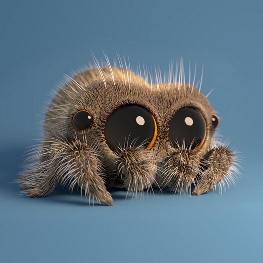 SoftTofu89's tweet photo. @Julee_Bulee Rodger is shockingly cute! And so is Lucas the spider https://t.co/5GaeSSZ3pi