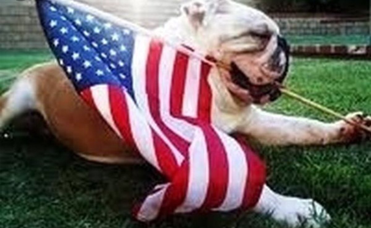 Marlin Bulldog Football (@marlinbulldog) on Twitter photo <a href="/MarlinBulldog/">Marlin Bulldog Football</a> Football wants to wish everyone a HAPPY 4th of JULY!! #DogMentality #DogVision <a href="/MarlinBulldog/">Marlin Bulldog Football</a> Football wants to wish everyone a HAPPY 4th of JULY!! #DogMentality #DogVision