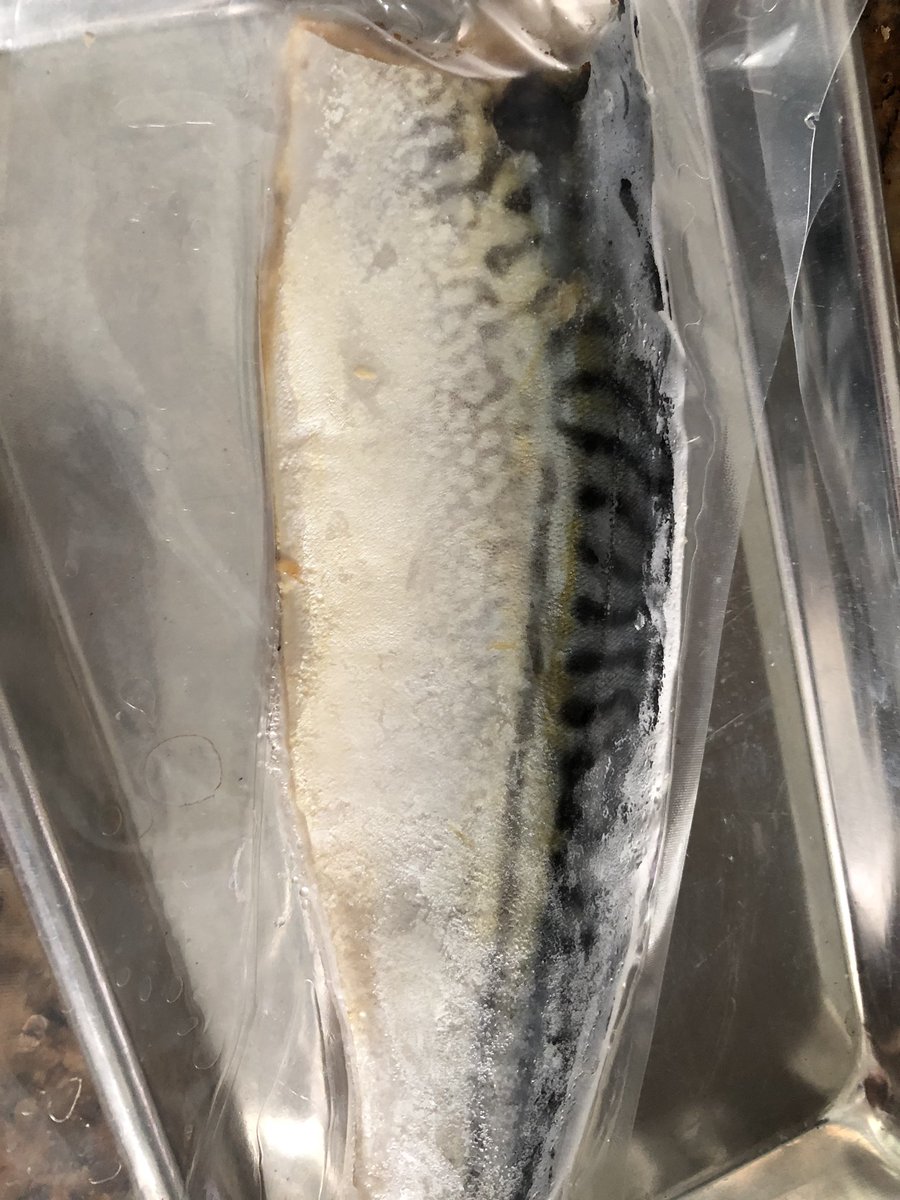 Hyphenata's tweet photo. ARMY Life: when your meals are literally dictated by @BTS_twt. I also happen to looooovvvveee broiled mackerel. So today’s lunch menu as been decided by Kim Taehyung. 👍🏻🤣 #kimtaehyung #김태형 #RunBTSEP78 https://t.co/iiKFvNJRGB